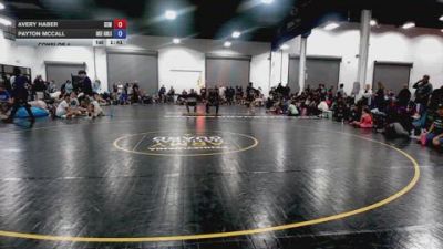 95 lbs Consi Of 4 - Avery Haber, Wyoming Seminary - GK12E vs Payton McCall, Okie Girls - GK12E