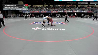 165 lbs Champ. Round 2 - 1 Cam Robinson, Grand View vs Nathan Napolitano, Truett McConnell