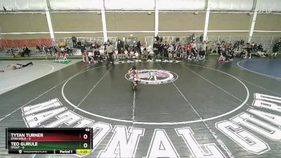 49 lbs Champ Round 1 (16 Team) - Tytan Turner, Utah Gold vs Teo Gurule, Stout