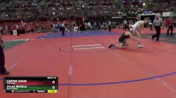 D3-165 lbs Champ. Round 1 - Carter Chase, Pleasant vs Sylas Reiheld, Rootstown