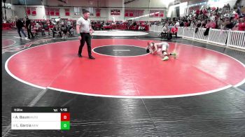 113 lbs Quarterfinal - Aidan Baum, Milford vs Luis Garcia, New Bedford