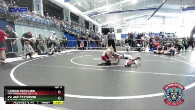 60 lbs Round 3 (4 Team) - Cayden Petersen, East Kansas Eagles Gold vs Ryland Ferguson, Potentially Dangerous