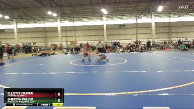 55-58 lbs Round 3 - Emersyn Fuller, Middleton Wrestling Club vs Elliette Craver, Fighting Squirrels