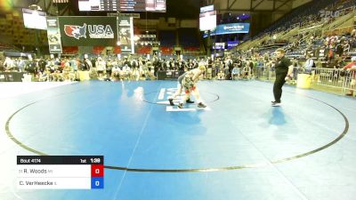 138 lbs Rnd Of 128 - Ryan Woods, MI vs Clinton VerHeecke, IL