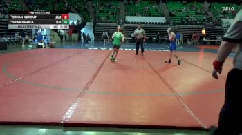 5A 113 lbs Quarterfinal - Ethan Norbut, Arab vs Sean Bianca, Leeds