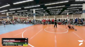 74-75 lbs Round 2 - Amariah Torres, Fitness Fight Factory Wrestling Club vs McCoy Powell, All American Wrestling Club