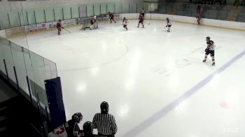 Replay: Home - 2024 Blades vs Vipers | Jan 17 @ 7 PM