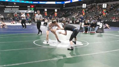 132 lbs Consi Of 8 #1 - Roman Zelenka, Carlsbad (SD) vs Dominic Bozanic, Gilroy (CC)
