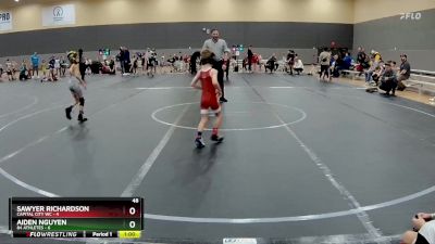 48 lbs Round 6 (10 Team) - Aiden Nguyen, 84 Athletes vs Sawyer Richardson, Capital City WC