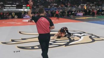 3rd Place Match - Gabriell Price, Omaha Westside vs Elena Bridges, Omaha Northwest