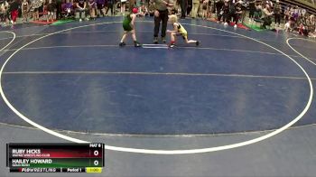 45 lbs Quarterfinal - Hailey Howard, Gold Rush vs Ruby Hicks, Wayne Wrestling Club