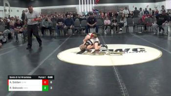65 lbs Semis & 1st Wrestleback (8 Team) - Reese Babcock, Illinois Menace vs Alex Golden, Olympia (NY)