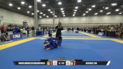Beatrice Z Jin vs Renata Borges Do Rosario Melo 2026 World Master IBJJF Jiu-Jitsu Championship