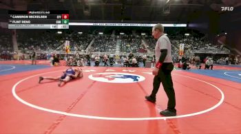 4A-165 lbs Cons. Round 2 - Flint Reno, Campbell County vs Cameron Mickelsen, Star Valley