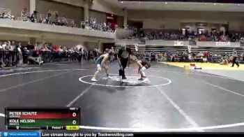 65 lbs Semifinal - Kole Nelson, Waseca vs Peter Schutz, Wayzata