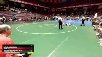 113 lbs D2/d3 - Semi-finals (sat 10:00am.) - Lane Anderson, Amery vs Mason Baumgartner, Prairie Du Chien