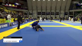 HELDER FRANKLIN SOARES vs BRIAN ANTHONY MENDEZ 2024 Master International IBJJF Jiu-Jitsu North American Championship