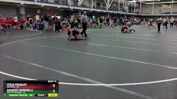 88 lbs Round 4 (8 Team) - Titus Feagley, Rampage vs Saverio Marinelli, Bitetto Trained