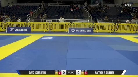 David Scott Steele vs David Scott Steele 2025 Pan IBJJF Jiu-Jitsu No-Gi Championship