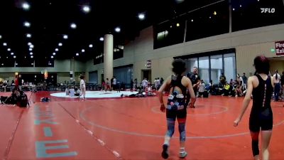 92 lbs 2nd Wrestleback (8 Team) - Haylee Johnson, BRAWL Black vs Natalie Lippstreu, AR- 15 Pink