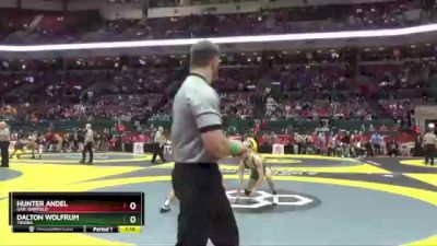 D3-165 lbs Quarterfinal - Dalton Wolfrum, Tinora vs Hunter Andel, Gar. Garfield