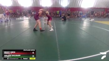 120 lbs Placement Matches (16 Team) - Brody Miess, Riverdale vs Walker Gaulrapp, Elk River