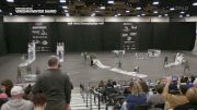 Viridian Winter Guard "Fort Collins CO" at 2026 WGI Guard World Championships