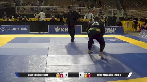 Noah Alexander Hauser vs James Sung Mitchell 2025 Pan Jiu Jitsu IBJJF Championship