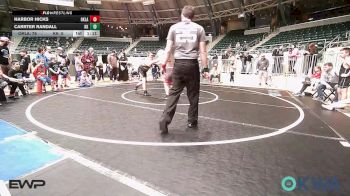 130 lbs Rr Rnd 5 - Harbor Hicks, Oklahoma Strong-Blue 9U vs Carrter Randall, Keystone Kids Wrestling Club