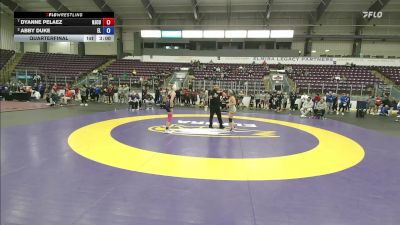 110 lbs Quarterfinal - Dyanne Pelaez, New Jersey City University vs Abby Duke, Elmira College