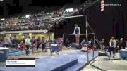 Ella Hawks - Women's Group, Wings Gymnastics Academy - 2021 Women's Xcel Region 4 Championships