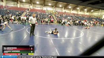 65 lbs 3rd Place Match - Eli Armstrong, East Idaho Elite vs Andrew Sandness, Ravage