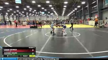 130 lbs Round 4 - Chase Hetrick, PA Gold vs Dominic Nauss, Team Michigan