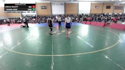 138 lbs Round Of 16 - Amelia Mailett, Dirigo vs Gianna Reed, Longmeadow