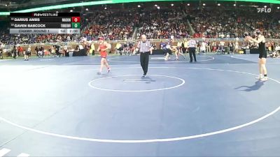 D2-132 lbs Champ. Round 1 - Darius Ambs, Mason HS vs Gaven Babcock, Three Rivers HS