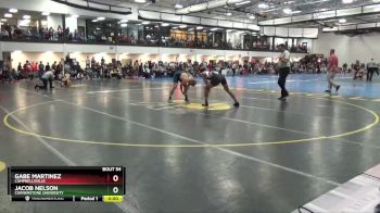 184 lbs Champ. Round 1 - Jacob Nelson, Cornerstone University vs Gabe Martinez, Campbellsville