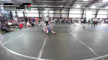 Quarterfinal - Andrew DiPasquale, Brookhaven vs Carson Taylor, Toms River