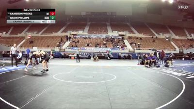 D1-113 lbs Champ. Round 1 - Gavin Phillips, Boulder Creek High School vs Cameron Weeks, Mesa High School