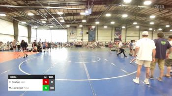 105 lbs Rr Rnd 3 - Colln Bartos, Ragin Raisins Catawba vs Mateo Gallegos, POWA