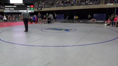 189 lbs Consolation - Jackson Long, Pleasant Gap vs Trent True, Remsen