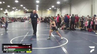 86 lbs Cons. Round 1 - Ellie Niederer, Grayling Grapplers vs Skylynn Campbell, Holt WC