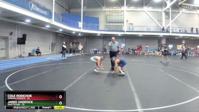 88-92 lbs Round 2 - Jared Haddock, Unattached vs Cole Rodichok, Virginia Patriots