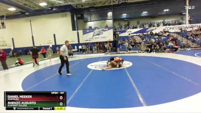 157 lbs Cons. Round 4 - Rhenzo Augusto, Elmhurst College vs Daniel Meeker, Wartburg