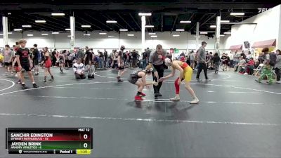 96 lbs Round 7 (8 Team) - Sanchir Edington, Dynasty Ruthless/U2 vs Jayden Brink, Armory Athletics