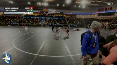 140 lbs Cons. Round 4 - Carlee Garrity, Central DeWitt vs Eliana Gonzalez, Huntley