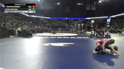 132 lbs Round Of 64 - Ashton Besmer, Buchanan (CS) vs Gavin Mitchell, Madison (SD)