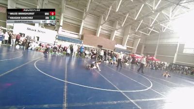 49 lbs Quarterfinal - Keagan Sanchez, Sanderson Wrestling Academy vs Miles Bringhurst, Westlake Wrestling Club