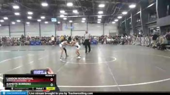 96 lbs Round 3 - Kamdyn Borrero, PA Gold vs Landon Rosenthal, Agression Legionaries