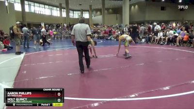 113 lbs Champ. Round 1 - Aaron Phillips, Rio Wrestling vs Holt Quincy, Raleigh Area Wrestling