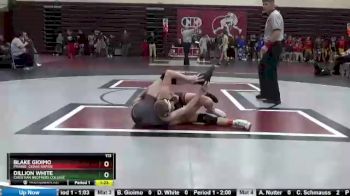 113 lbs Quarterfinal - Blake Gioimo, Prairie, Cedar Rapids vs Dillion White, Christian Brothers College